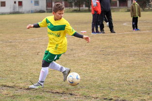 开云体育在线赛事直播-国际赛场紧张局势影响部分选手参赛决定，国际竞技比赛